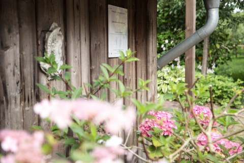 Image Not Found On Media Library