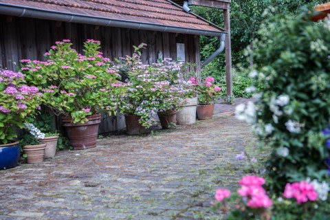 Image Not Found On Media Library